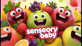 The Sensory Moments | Exploring the World Through Baby's Eyes