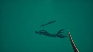 Sea of Thieves - Sirens and Shark Attack