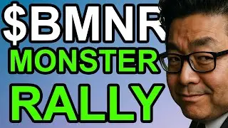 $BMNR Монстр Ралли