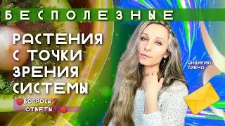 БЕСПОЛЕЗНЫЕ РАСТЕНИЯ С ТОЧКИ ЗРЕНИЯ СИСТЕМЫ🪴