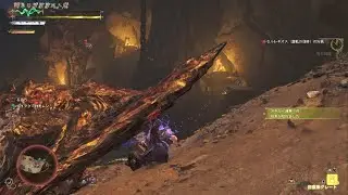 ひより第７１弾,歴戦セルレギオス,ランク９,★５,11:04