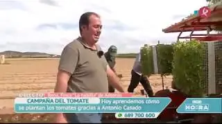 Plantadora Chechhi & Magli - Agroriegos Montero