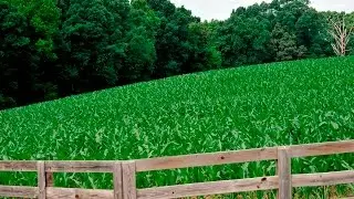 Union County