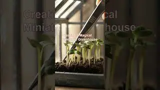 Creating a Magical Miniature Greenhouse 🌱