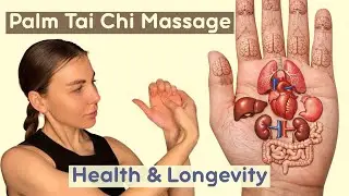 Chinese Masters&rsquo; Tai Chi Hand Massage