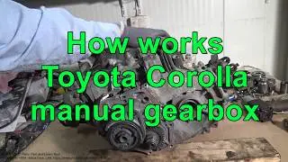 How works inside look Toyota Corolla manual gearbox. Years 2005 to 2018