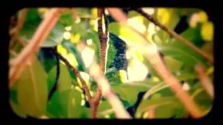 Kilroy Was Here! Productions - Highlights Reel 2012