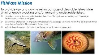 FishPass: A vision for selective fish passage solutions to the connectivity conundrum_D. Zielinski