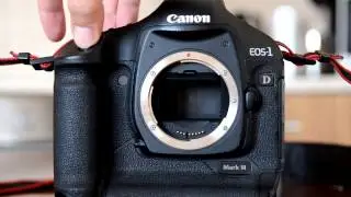 Canon 1D MkIII 10fps Shutter sound