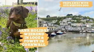 WEEKEND AWAY in a Caravan Park!  Exploring Cornwall Looe & Fowey with our Sausage Dog