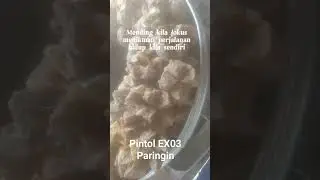 PINTOL EXO3 Paringin