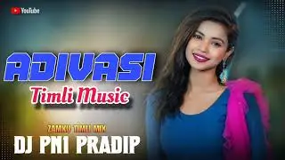 2026 आधिवासी New DNH Timli Music || Timli Dance || Dj Pn1 Pradip