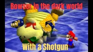 Beating Bowser with a SHOTGUN (Bowser in the Dark World)