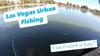 Las Vegas Urban Fishing March 2025