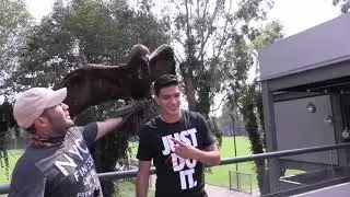 Entrevista a Ra&uacute;l Jim&eacute;nez - Club Am&eacute;rica 2019
