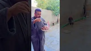 Hajy hadi حجی هادی