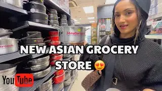 GOING CRAZY AT THE NEW ASIAN GROCERY STORE! #dailyvlogs