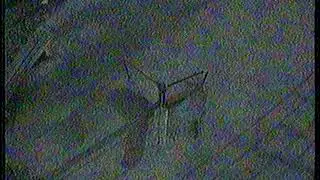 Tram 11 - Kaj Ima Lima?