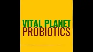 vital runner desk