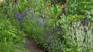 RHS and BBC Radio 2 Dog Garden designed by Monty Don