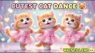 बिल्ली डांस |Cutest Cat videos funnydance 🤣💃 Videos for cats #funny #dancingcat #cat
