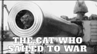 Togo The Cat Who Sailed Britain's Revolutionary Battleship HMS Dreadnought's Secret Weapon Audiobook