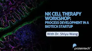 NK Cell Therapy Workshop: Process Development in a Biotech Startup