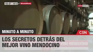 Los SECRETOS detr&aacute;s del MEJOR VINO MENDOCINO