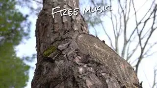 No copyright issues All music and video