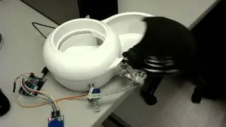 Vacation dog feeder