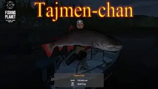 Fishing Planet: Rzeka Selenge Tajmen - Chan Ryba potwór.
