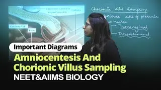 NEET Biology | Amniocentesis and Chorionic Villus Sampling | Important Diagram | In English