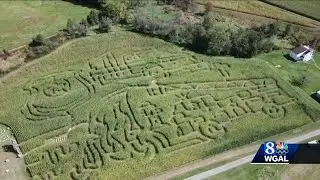 Pennsylvania farm features high-tech corn maze