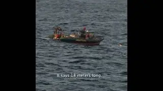 Whale rescue! #savethewhales #greenpeace
