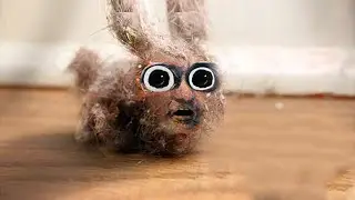 dust
