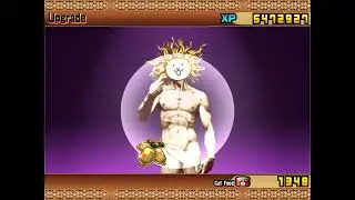 Evolving cat god using golden cat fruit. (Battle cats)