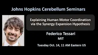 Federico Tessari: motor coordination via synergies