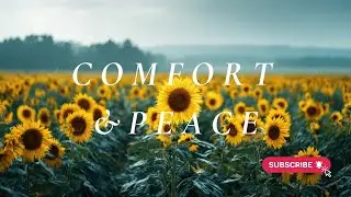 Bible Verses for Comfort & Peace | Encouragement for Hard Days