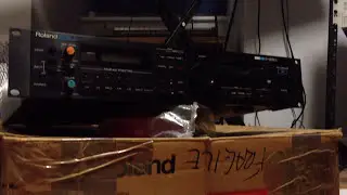 Roland S220 Digital sampler - testing functions QUICKDISC