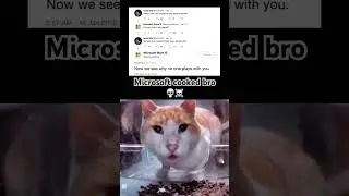 USE THIS AUDIO🔥👍 #helpmemakethismakesense #cat #memes #funny #fyp #viral #useaudio #subscribe 🐌