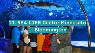 25 Best Things to Do in Minnesota