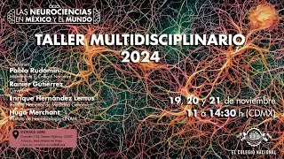 Ensambles neuronales y toma de decisiones | Taller multidisciplinario de neurociencias
