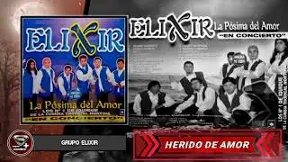 GRUPO ELIXIR - EN CONCIERTO (solo para fans)