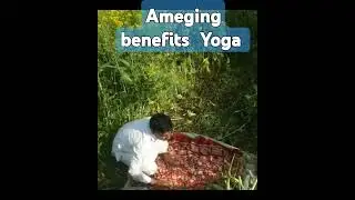 Yoga|शीर्षासन सेहत  के लिए अत्यंत फायदेमंद |blood circulation|farming|खेत|disease