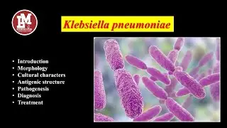 Klebsiella pneumoniae
