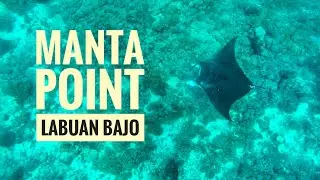 Manta Point - Labuan Bajo