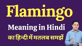 Flamingo meaning in Hindi | Flamingo ka kya matlab hota hai | Spoken English Class