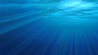 Beneath The Ocean Video Animation Loop