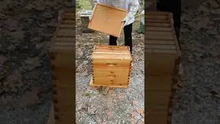 Honey Bee Hive 10 Frame 100% Pre Waxed, Beginner Hive Kit Assy