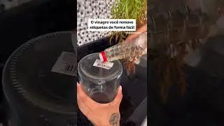 Dica para remover etiqueta de potes